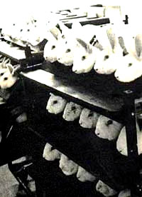 Draite test 2 [ 29.49 Kb ]