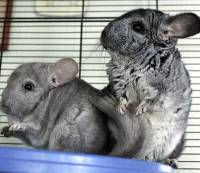 �in�ile [ 663.48 Kb ]