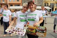 10 razloga za 10 godina ZeGeVege festivala [ 492.32 Kb ]
