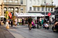 Gallery- 10th ZeGeVege festival (Matej �elar) [ 276.83 Kb ]