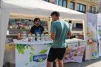 7. VegeSajam [ 208.20 Kb ]