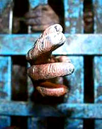 Poziv u pomo� [ 23.27 Kb ]