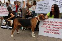 Psi i gra�ani ukazali na problem neprovedbe Zakona [ 271.29 Kb ]