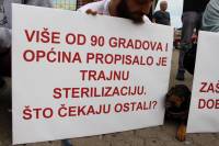 Psi i gra�ani ukazali na problem neprovedbe Zakona [ 181.67 Kb ]