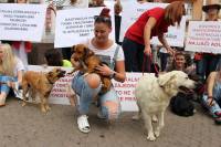 Psi i gra�ani ukazali na problem neprovedbe Zakona [ 289.03 Kb ]
