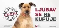 Ljubav se ne kupuje [ 158.16 Kb ]