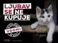 Ljubav se ne kupuje [ 137.37 Kb ]