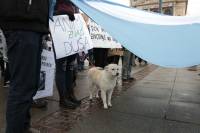 March for the animals 2018., foto: Ana Mihalic [ 235.50 Kb ]