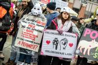 March for the animals 2018., photo: Uros Modlic [ 332.66 Kb ]