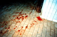 Empty croatian slaughterhouse 7 [ 60.91 Kb ]