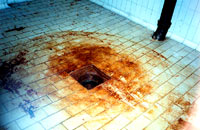 Empty croatian slaughterhouse 8 [ 69.88 Kb ]