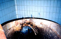 Empty croatian slaughterhouse 11 [ 57.02 Kb ]