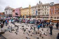 Mar� za �ivotinje 2019., foto: Uro� Modlic [ 137.57 Kb ]