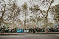Mar� za �ivotinje 2019., foto: Jelena Rasic [ 167.44 Kb ]