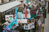 Mar� za �ivotinje 2019., foto: Jelena Rasic [ 130.66 Kb ]