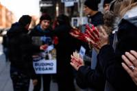 Let's clean the blood off our hands and go vegan 2 [ 113.99 Kb ]