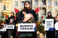 Let's clean the blood off our hands and go vegan 14 [ 226.62 Kb ]