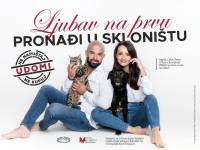 Ljubav na prvu prona�i u skloni�tu [ 740.29 Kb ]
