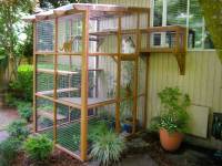 Catio Catio