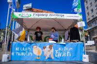 Veggie Fair 2021. photos [ 1.52 Mb ]