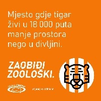 tigar- zaobi�i zoolo�ki
