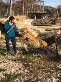 Tigar s Hvara [ 147.07 Kb ]