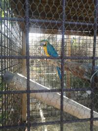 Hvar zoolo�ki [ 329.91 Kb ]