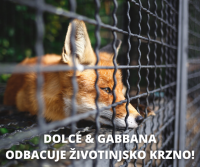 dolce & Gabbana [ 862.65 Kb ]