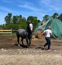 �traparijada strmec 2024 [ 335.50 Kb ]