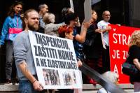 Okupljanje za spas konja od okrutnosti �traparijade [ 210.59 Kb ]