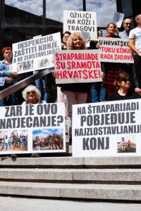 Okupljanje za spas konja od okrutnosti �traparijade [ 165.15 Kb ]