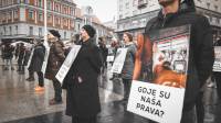Me�unarodni dan prava �ivotinja- fotografije Davida Rammsa [ 160.34 Kb ]