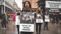 Me�unarodni dan prava �ivotinja- fotografije Davida Rammsa [ 147.26 Kb ]