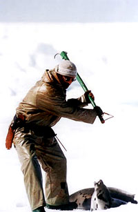 Seal hunt 14 [ 25.85 Kb ]