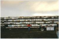 Source: fruitwoodorchardshoney.com - Truck load of bees [ 32.67 Kb ]