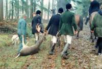 Lovci vuku ubijenog jelena [ 23.06 Kb ]