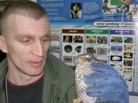 Zaplijenjeni kobac pti�ar [ 46.34 Kb ]