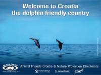Jumbo 'Welcome to Croatia - the Dolphin Friendly Country' [ 231.93 Kb ]