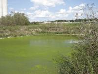 Farma svinja PIK Vrbovec2 [ 179.29 Kb ]