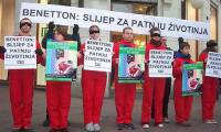 Benetton: Blind to Animal Suffering