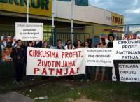 Against animals in Circuses