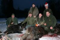 Hunt in Viroviticka Bilogora 2 [ 64.89 Kb ]