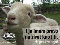 I ja imam pravo na �ivot kao i ti [ 683.88 Kb ]