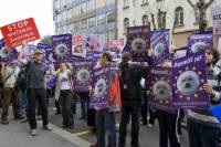 Zagreb demo against the seal slaughter 12 [ 323.99 Kb ]