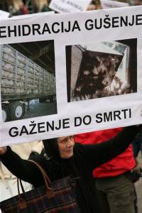 Prosvjed protiv transporta �ivotinja 11 [ 70.74 Kb ]