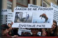 Prosvjed protiv transporta �ivotinja Javno.com 1 [ 76.35 Kb ]