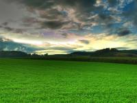Field [ 95.45 Kb ]