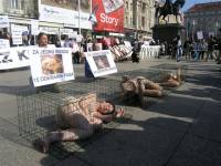 Anti-fur protest Zagreb 2009 u [ 88.32 Kb ]