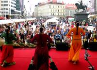 ZeGeVege festival 2009 [ 482.81 Kb ]