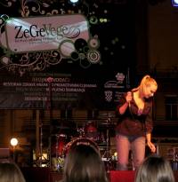 ZeGeVege festival 2009 [ 297.61 Kb ]